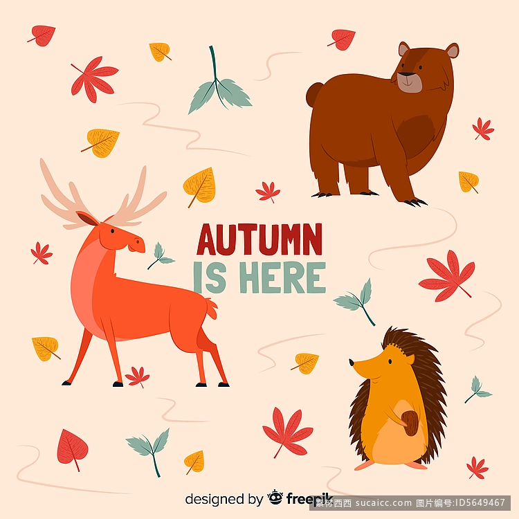 平秋森林动物收藏